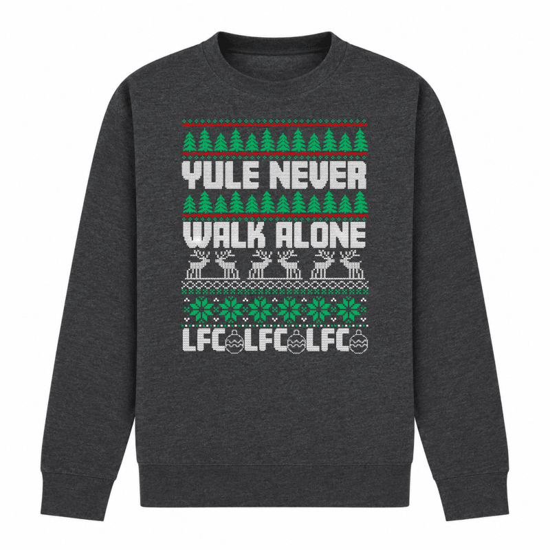 H.D Kopmas - Funny Christmas Jumper - Handsome Dans