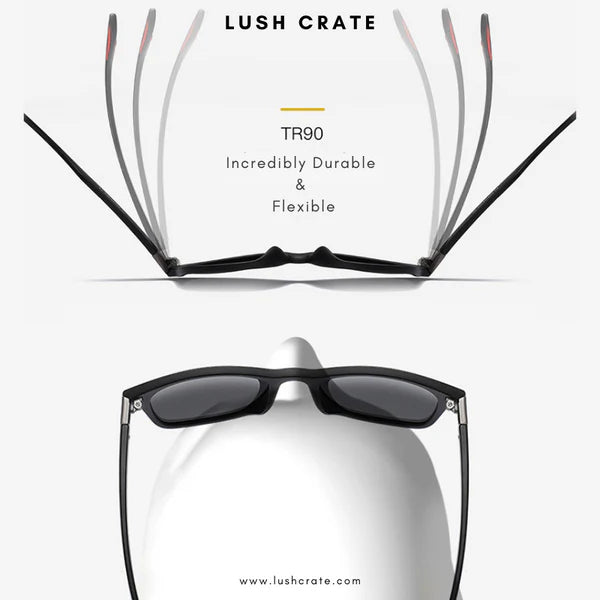 H.D Modesto Sunglasses - Handsome Dans