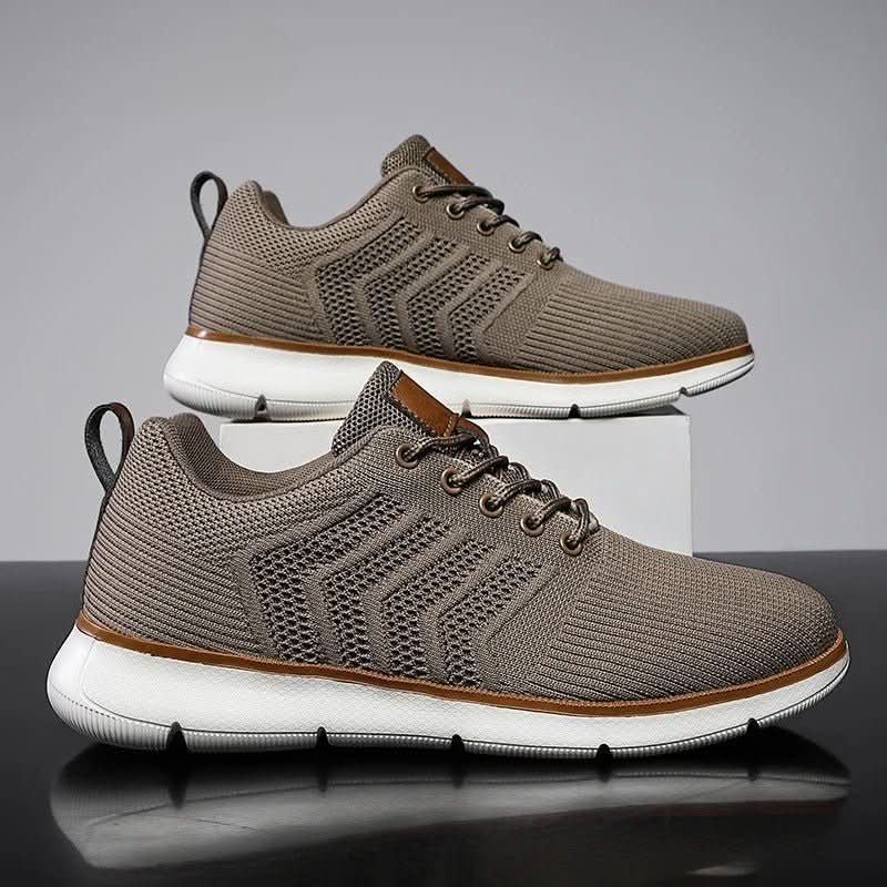 H.D Riviera Trainers - Handsome Dans