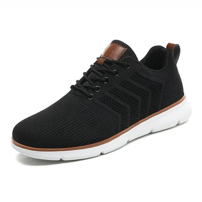 H.D Riviera Trainers - Handsome Dans