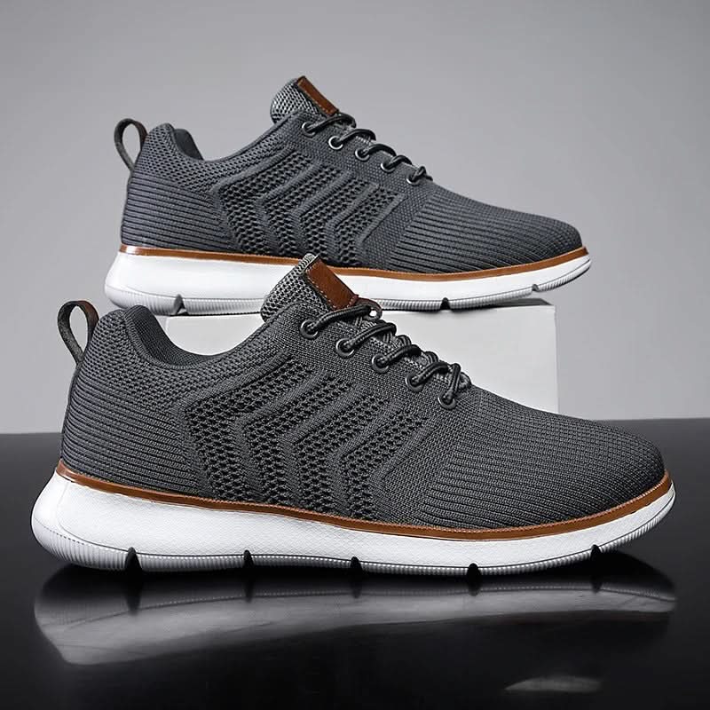 H.D Riviera Trainers - Handsome Dans