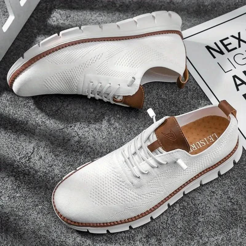 H.D Ventura Trainers - Handsome Dans