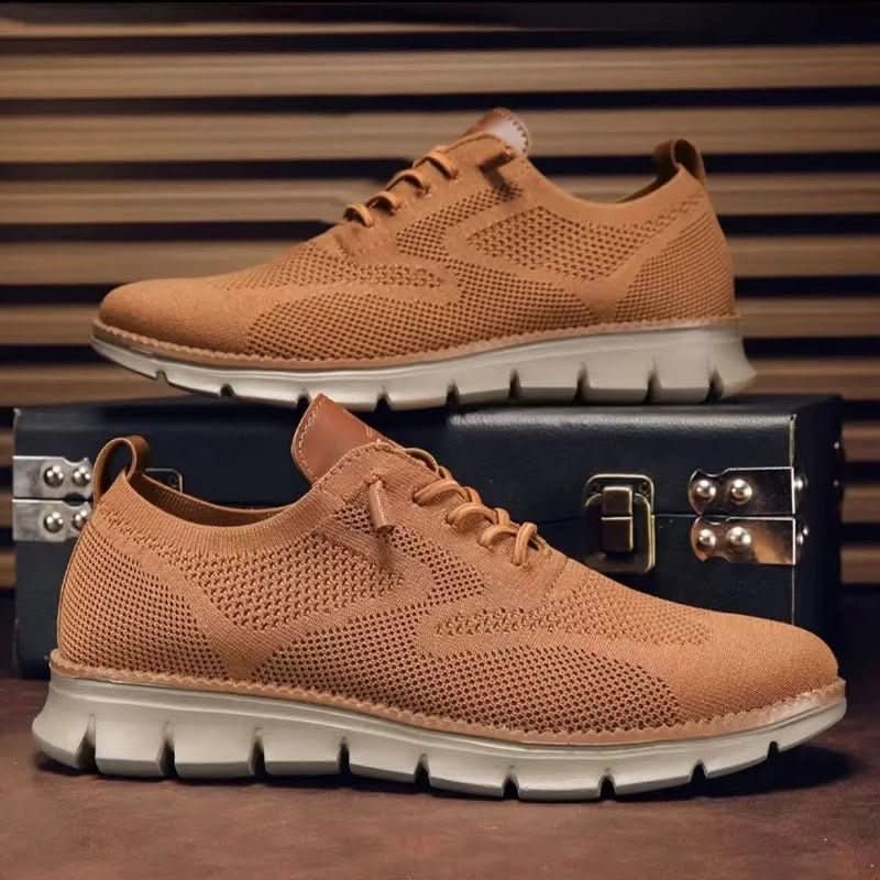 H.D Ventura Trainers - Handsome Dans