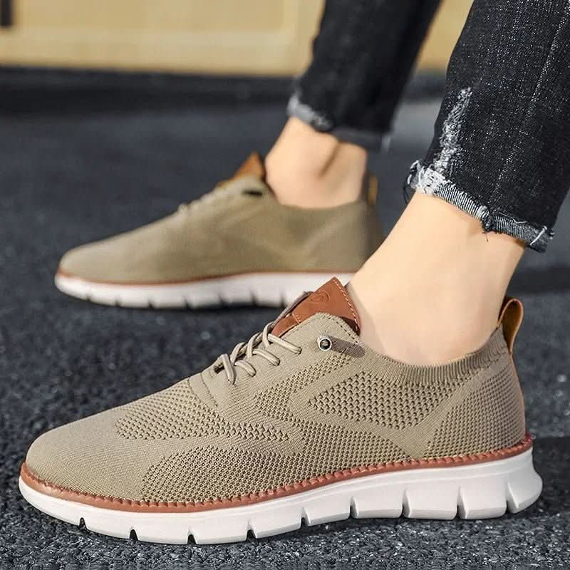 H.D Ventura Trainers - Handsome Dans