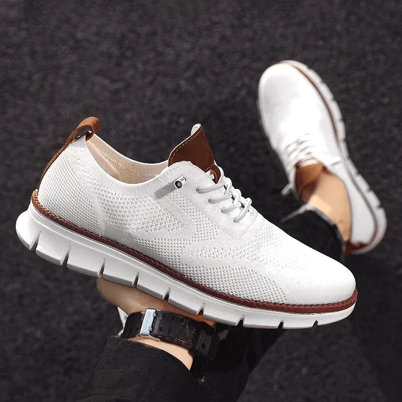 H.D Ventura Trainers - Handsome Dans