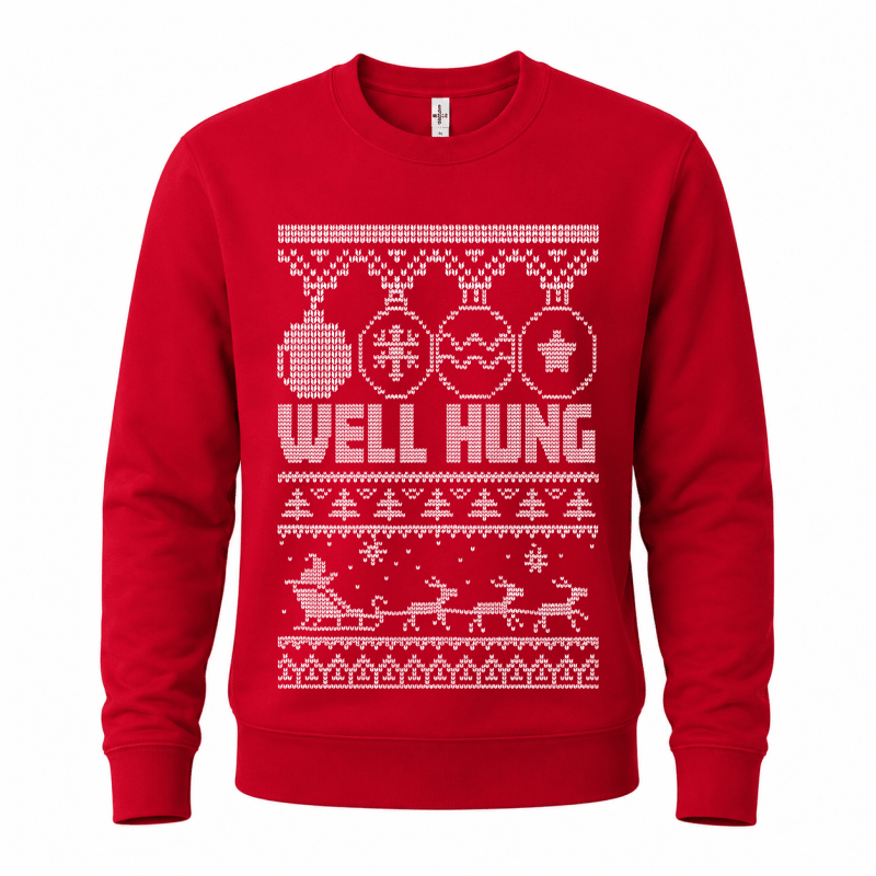 H.D Well Hung – Funny Christmas Jumper - Handsome Dans