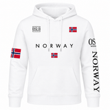 H.D Fjord Hoodie
