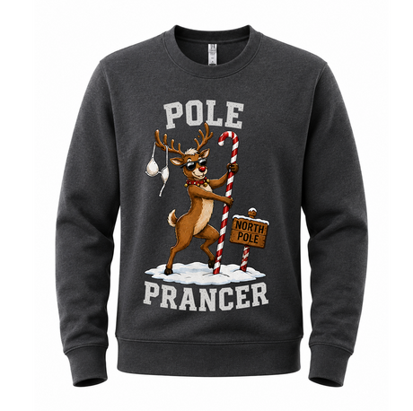H.D Prancer – Funny Christmas Jumper