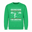 H.D Fore - Funny Christmas Jumper - Handsome Dans