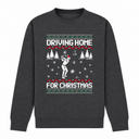 H.D Fore - Funny Christmas Jumper - Handsome Dans