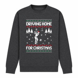 H.D Fore - Funny Christmas Jumper - Handsome Dans