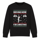 H.D Fore - Funny Christmas Jumper - Handsome Dans