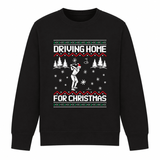 H.D Fore - Funny Christmas Jumper - Handsome Dans