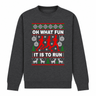 H.D Fun Run - Funny Christmas Jumper - Handsome Dans