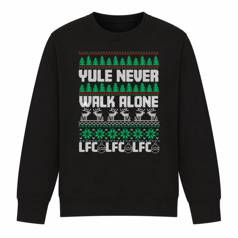 H.D Kopmas - Funny Christmas Jumper - Handsome Dans