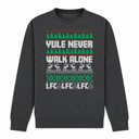 H.D Kopmas - Funny Christmas Jumper - Handsome Dans