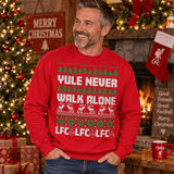 H.D Kopmas - Funny Christmas Jumper - Handsome Dans