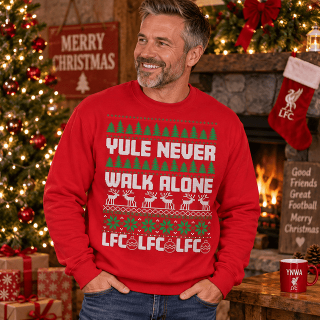 H.D Kopmas - Funny Christmas Jumper - Handsome Dans