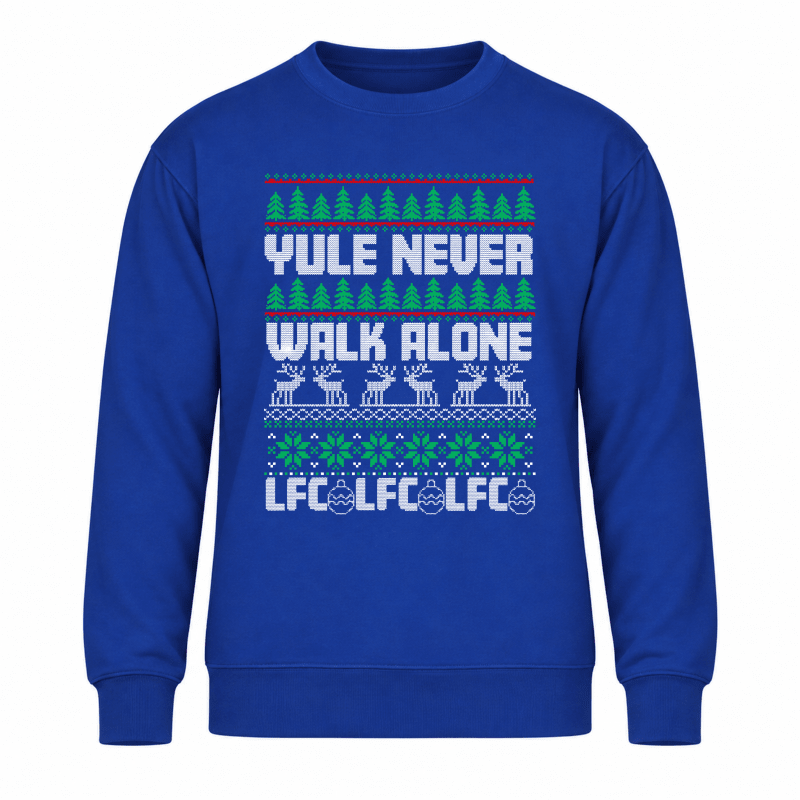 H.D Kopmas - Funny Christmas Jumper - Handsome Dans