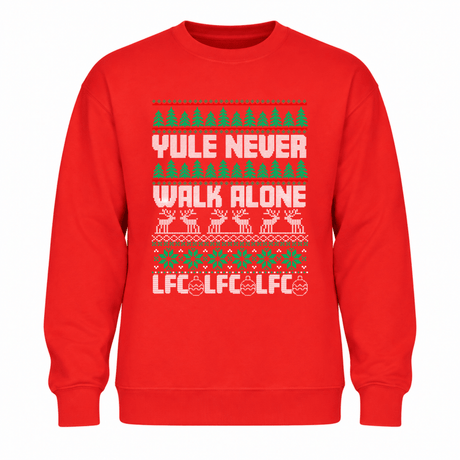 H.D Kopmas - Funny Christmas Jumper - Handsome Dans