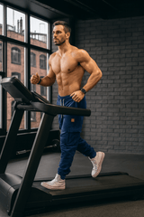 H.D Kronos Bottoms - Handsome Dans