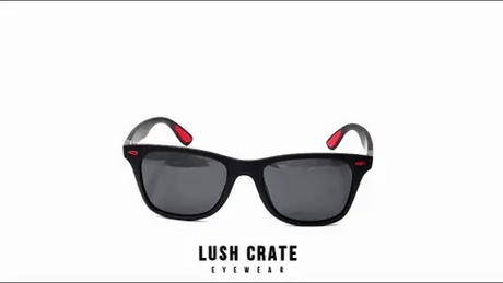 H.D Modesto Sunglasses - Handsome Dans