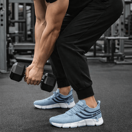 H.D Ozark Trainers - Handsome Dans