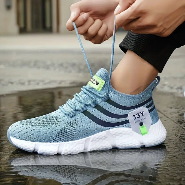 H.D Ozark Trainers - Handsome Dans