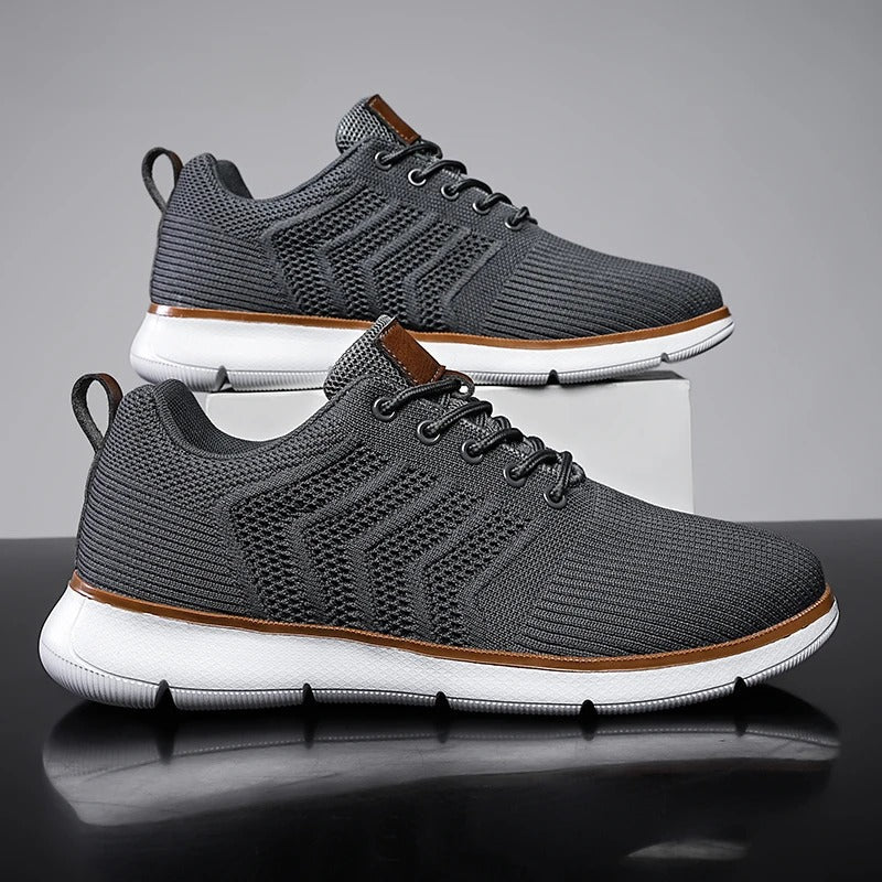 H.D Riviera Trainers - Handsome Dans