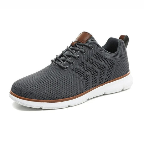 H.D Riviera Trainers - Handsome Dans