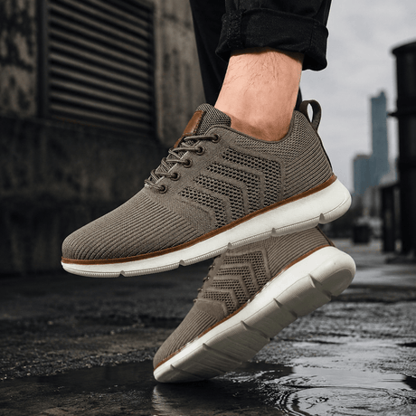 H.D Riviera Trainers - Handsome Dans