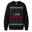 H.D Santa Came Twice (HIS) – Funny Christmas Jumper - Handsome Dans
