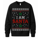 H.D Santa Came Twice (HIS) – Funny Christmas Jumper - Handsome Dans