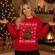 H.D This Jumper Sucks – Funny Christmas Jumper - Handsome Dans