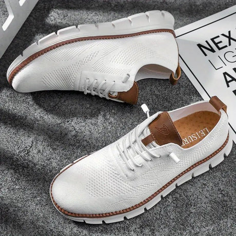 H.D Ventura Trainers - Handsome Dans
