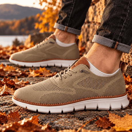 H.D Ventura Trainers - Handsome Dans