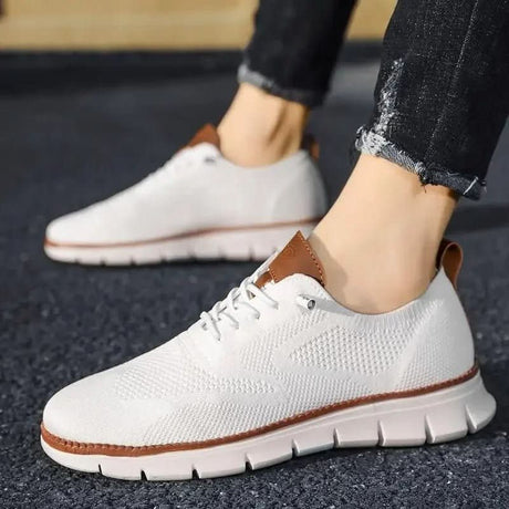 H.D Ventura Trainers - Handsome Dans