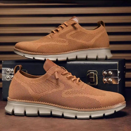 H.D Ventura Trainers - Handsome Dans