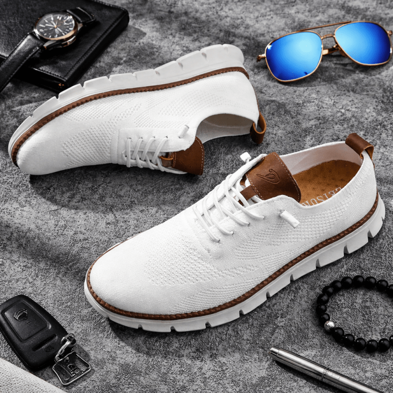 H.D Ventura Trainers - Handsome Dans