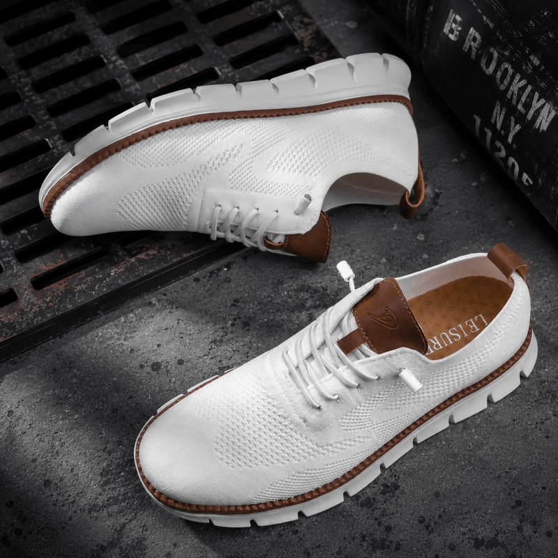 H.D Ventura Trainers - Handsome Dans