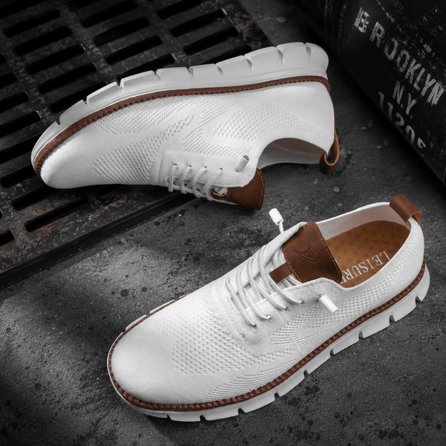 H.D Ventura Trainers - Handsome Dans