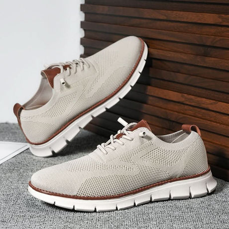 H.D Ventura Trainers - Handsome Dans