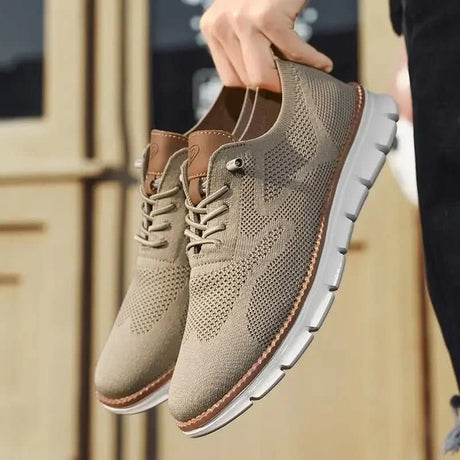 H.D Ventura Trainers - Handsome Dans