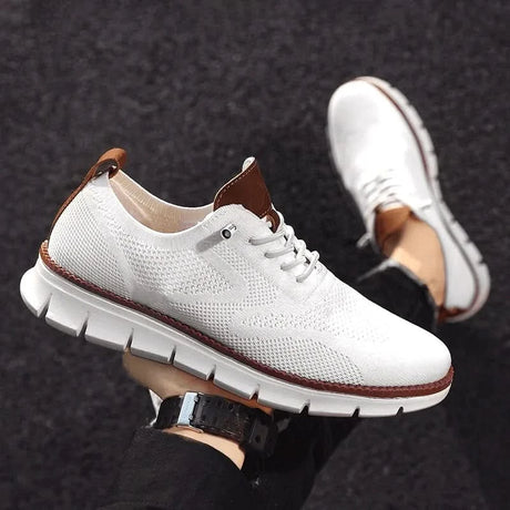 H.D Ventura Trainers - Handsome Dans
