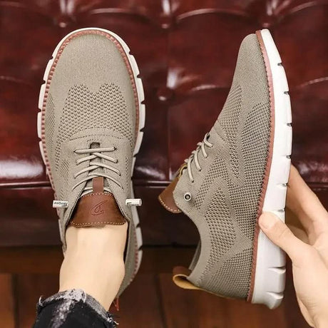 H.D Ventura Trainers - Handsome Dans