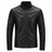 H.D Vinci Jacket - Handsome Dans