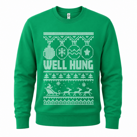 H.D Well Hung – Funny Christmas Jumper - Handsome Dans