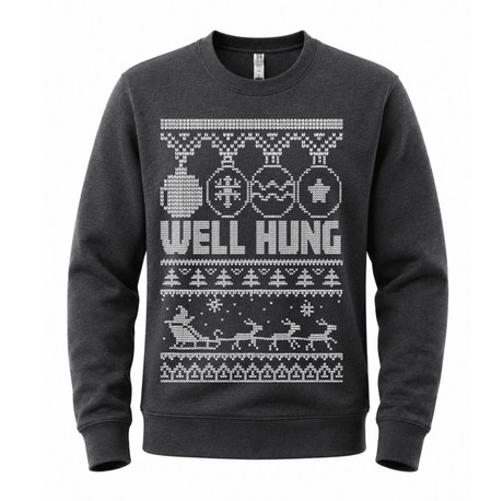 H.D Well Hung – Funny Christmas Jumper - Handsome Dans