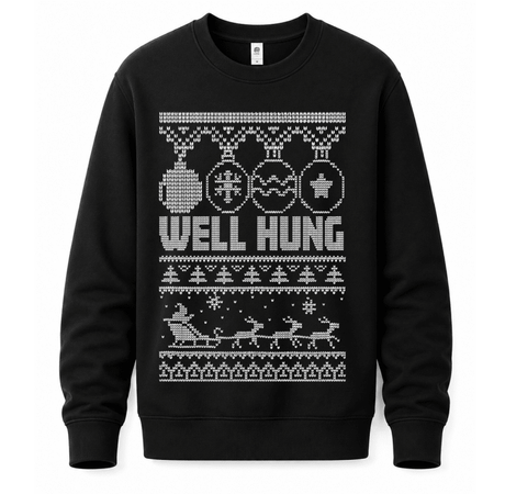 H.D Well Hung – Funny Christmas Jumper - Handsome Dans